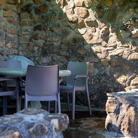 Strelitzia Cottage ケープタウン エクステリア 写真