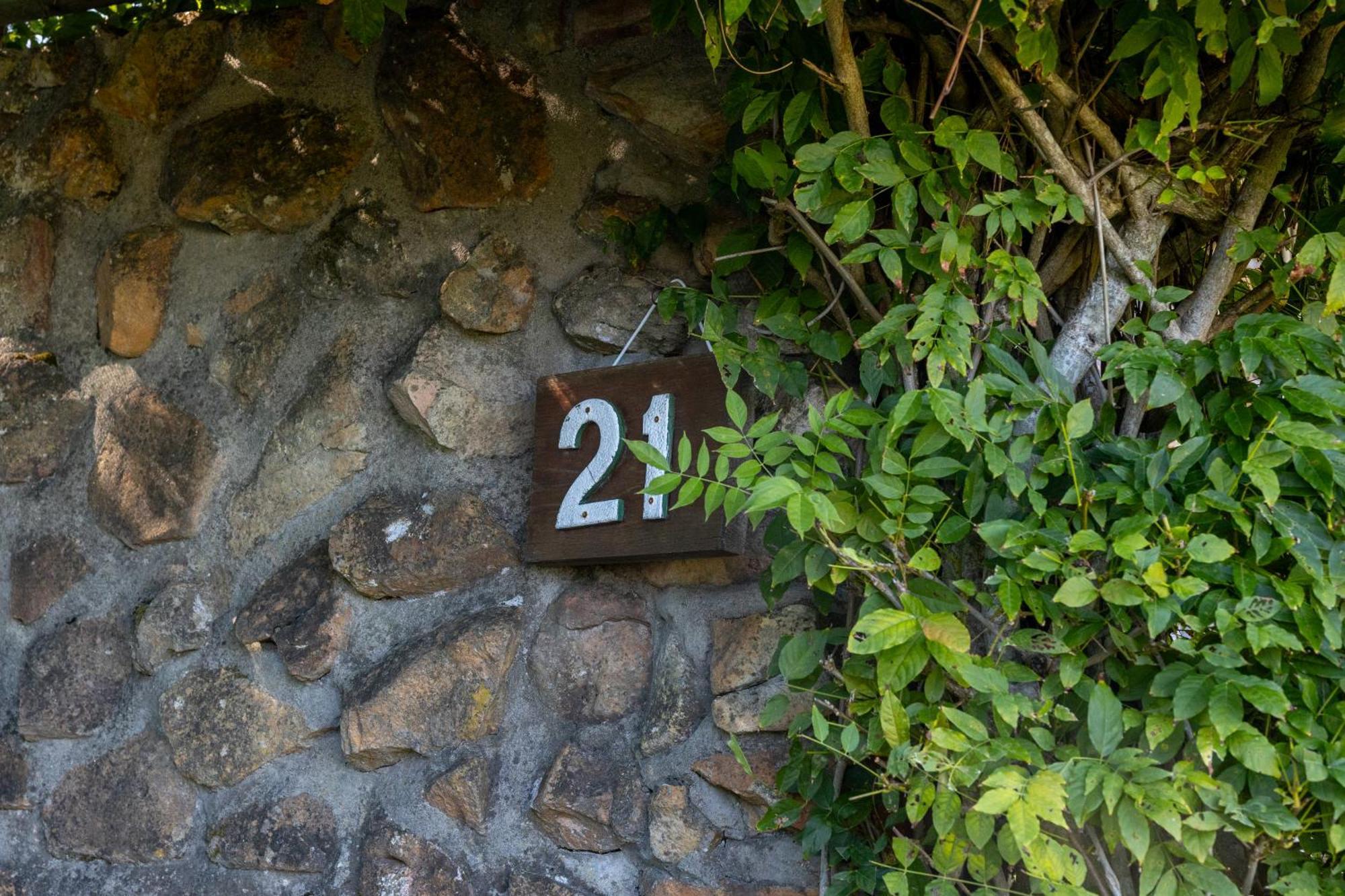 Strelitzia Cottage ケープタウン エクステリア 写真