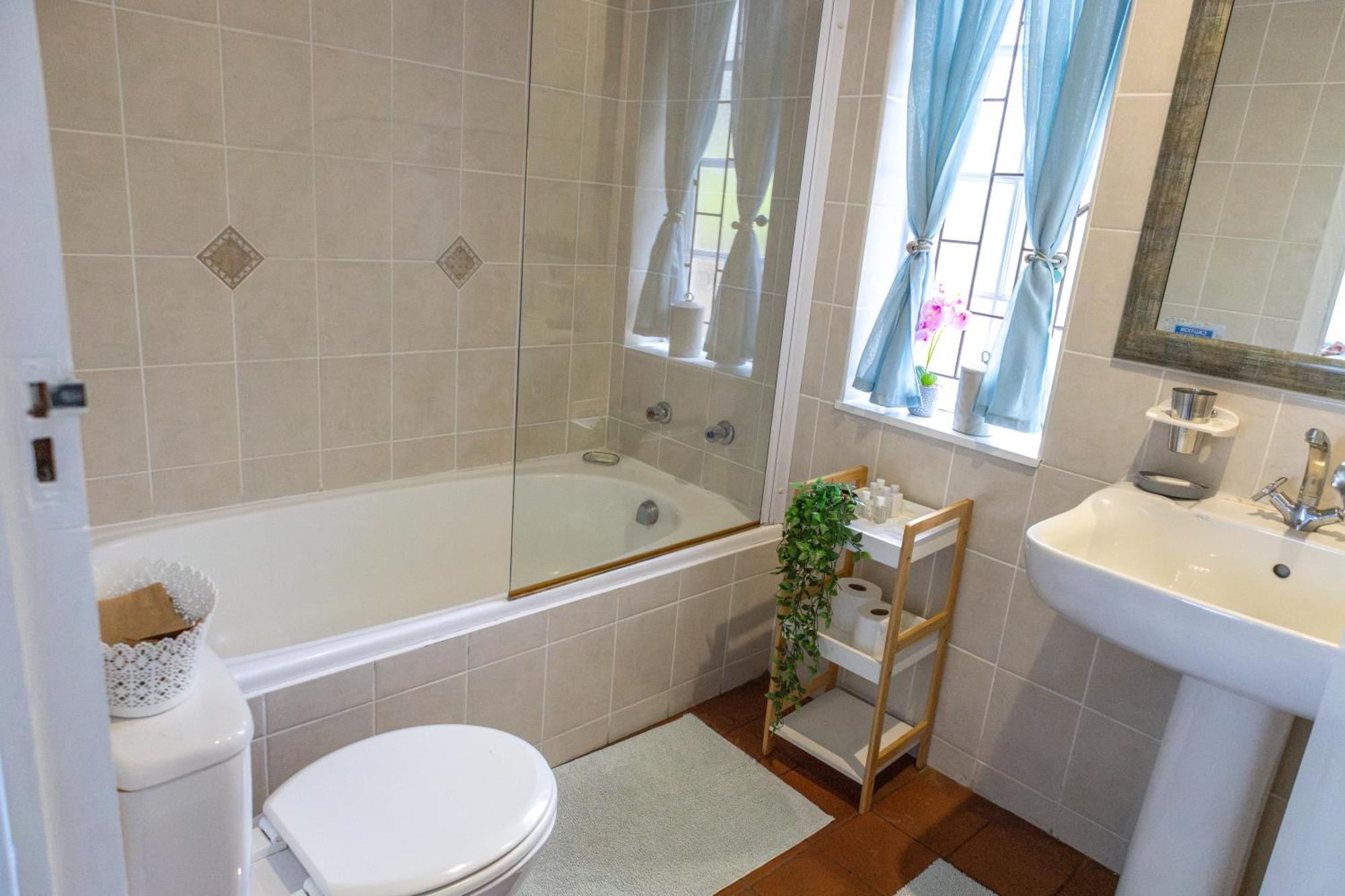 Strelitzia Cottage ケープタウン エクステリア 写真