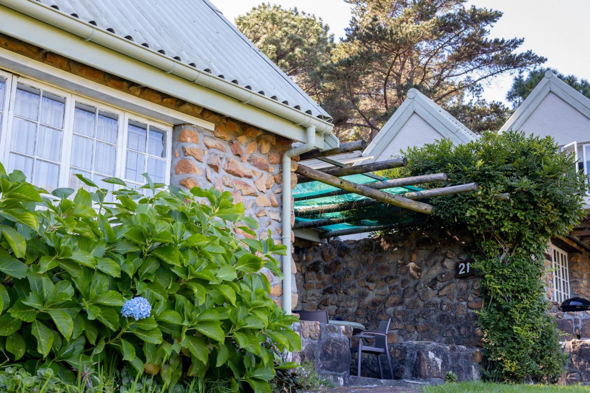Strelitzia Cottage ケープタウン エクステリア 写真