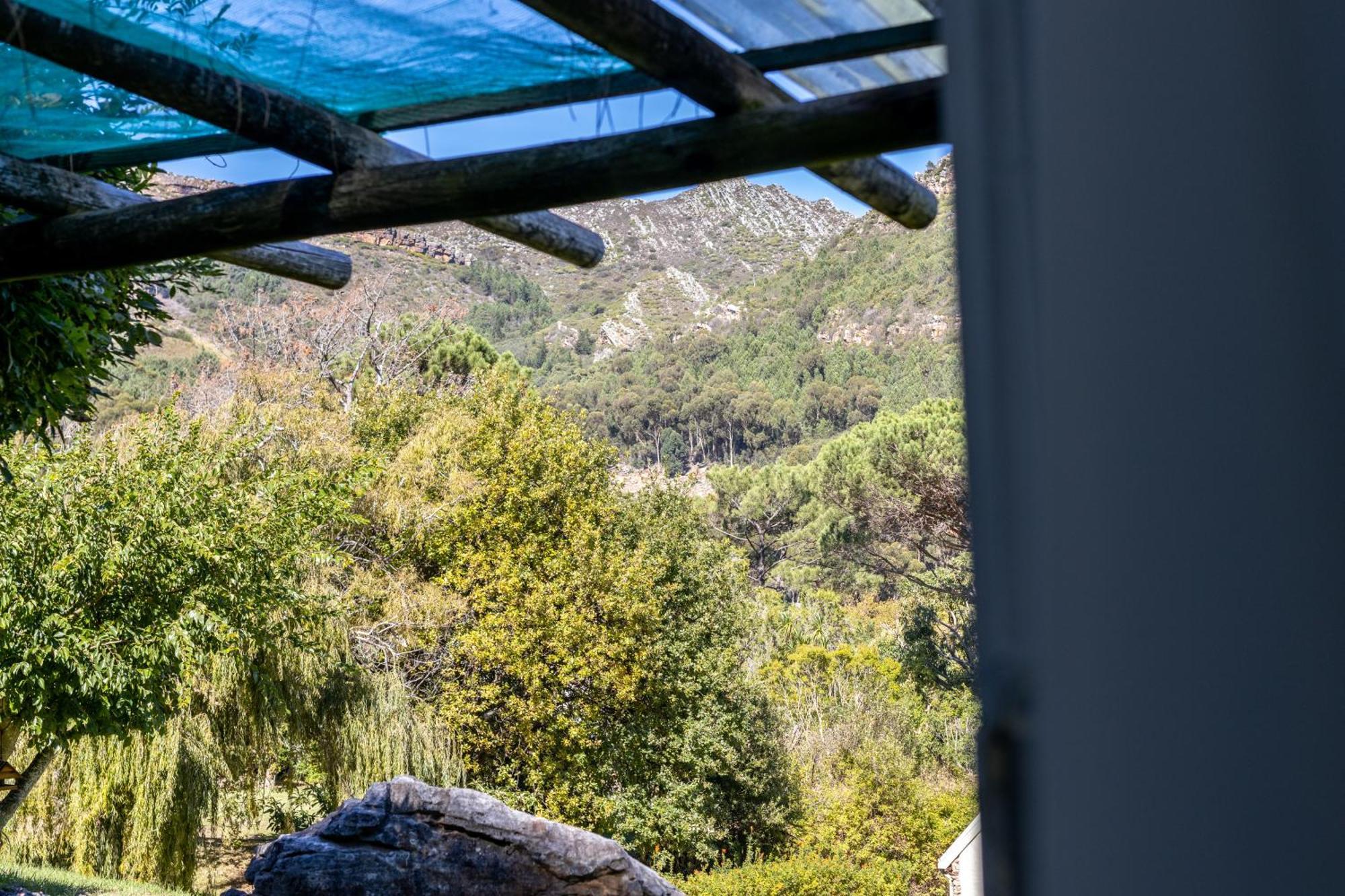Strelitzia Cottage ケープタウン エクステリア 写真