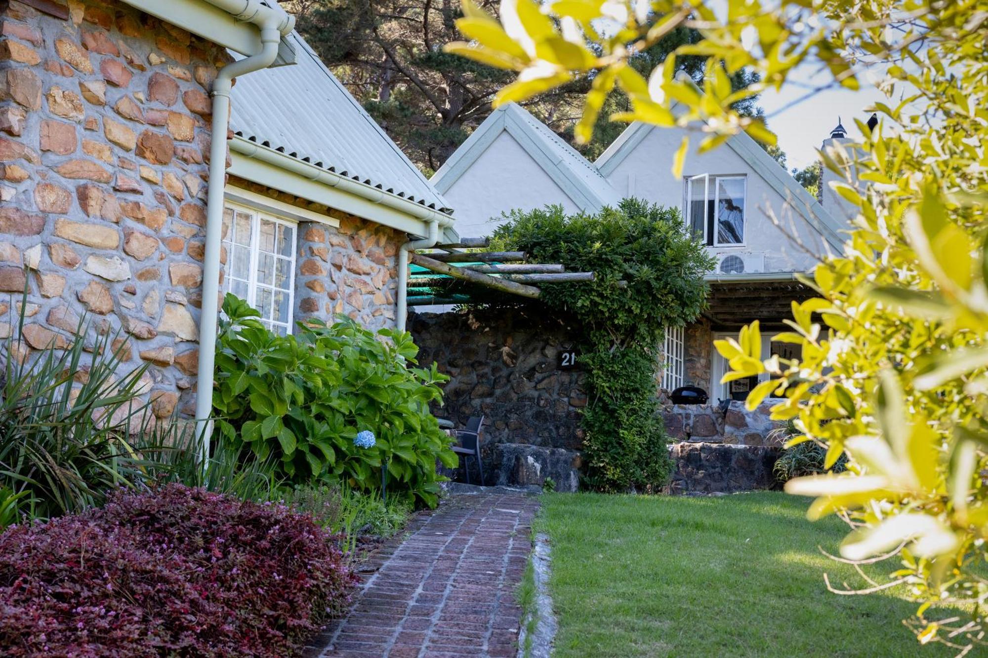 Strelitzia Cottage ケープタウン エクステリア 写真
